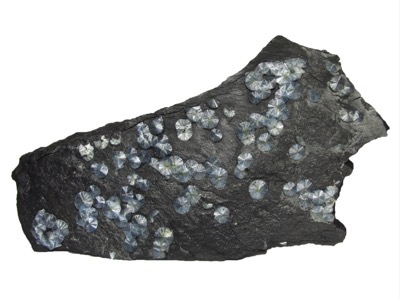 Wavellit radialstrahlig auf Kieselschiefer